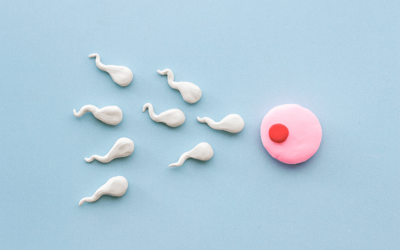 Fertility